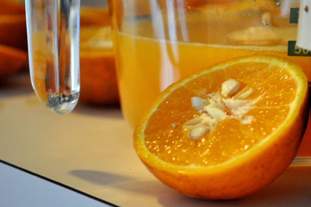Florida Orange