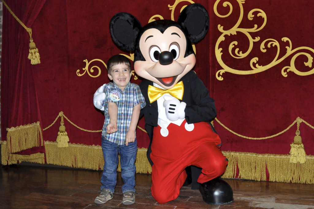 Disney Joy